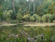 Високогірне з panoramio.com