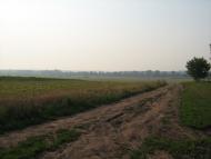 Вільгір з panoramio.com