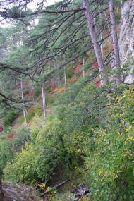 Високогірне з panoramio.com