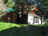 Підгір'я - Останні фото