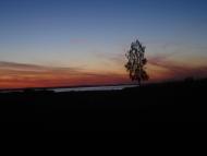 Світязь з panoramio.com