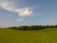 Чорна з panoramio.com