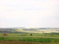 Катеринівка з panoramio.com