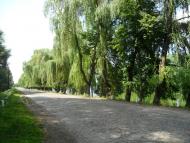 Сніжна з panoramio.com