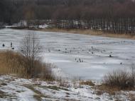 Пісочин з panoramio.com