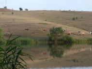 Сподобовка - Последние фото