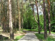 Тетянівка з panoramio.com (ч.2)