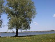 Красний Лиман - Останні фото