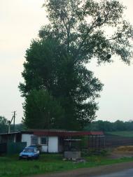 Косарі з panoramio.com (ч.2)