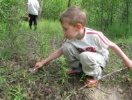 Титівка (13.06.2016)