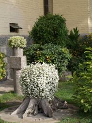 ВОЗДВИЖЕНьСЬКИЙ КОСТЕЛ