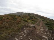 ТУРПОХІД НА ПЕТРОС