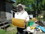 Титівка (13.06.2016)