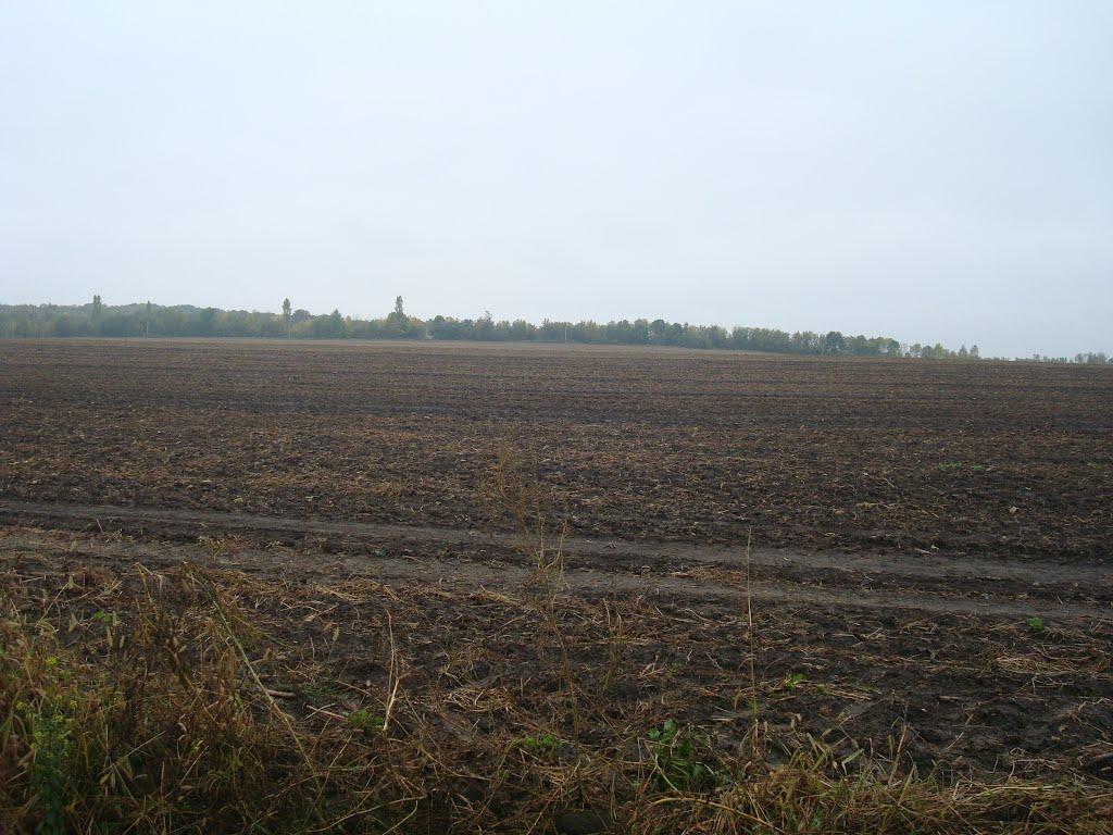 Грузевиця з panoramio.com - Грузевиця