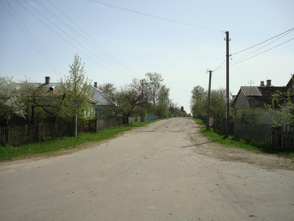 Дроздні з panoramio.com - Дроздні