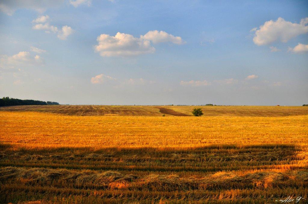 Деремезна з panoramio.com - Деремезна