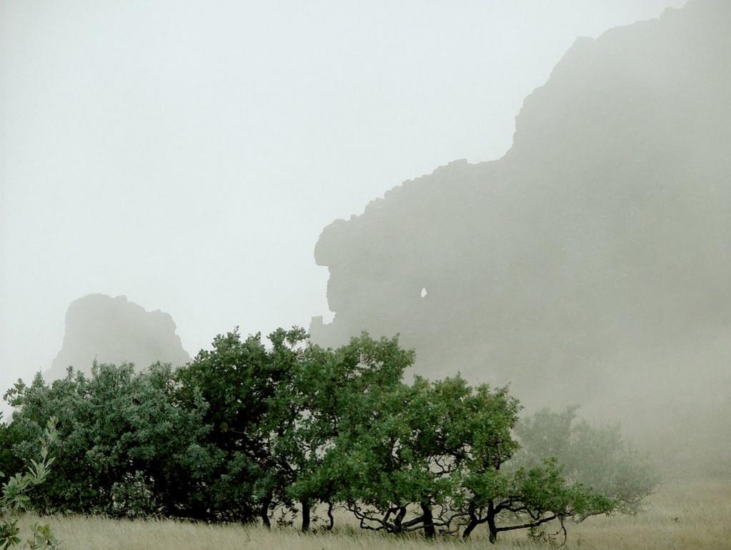 Коктебель з panoramio.com (ч.3) - Коктебель