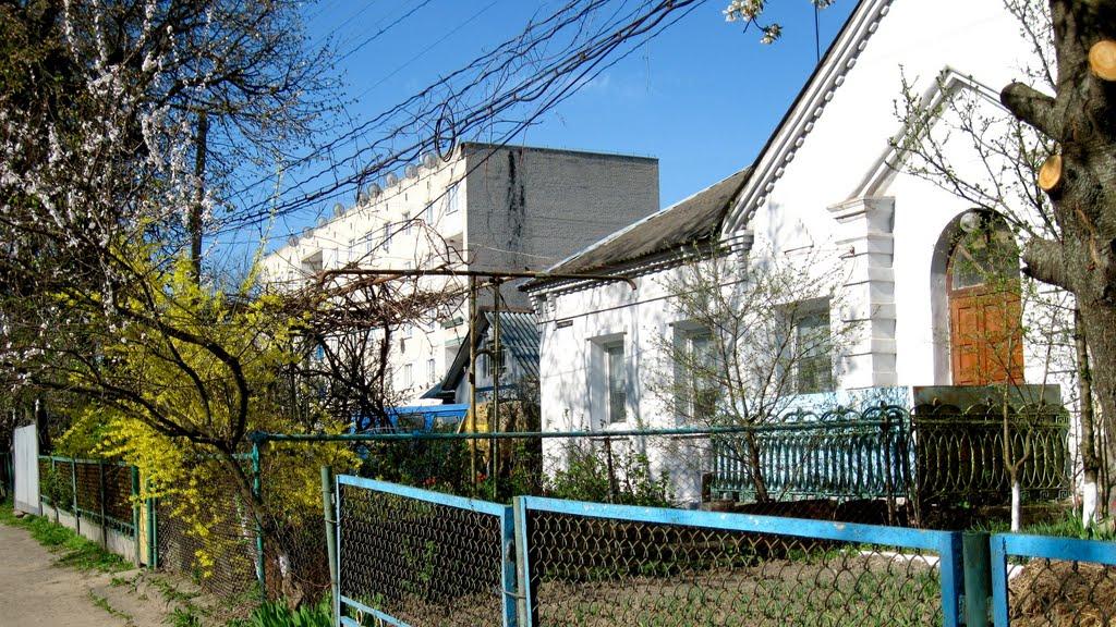 Горохів з panoramio.com - Горохів