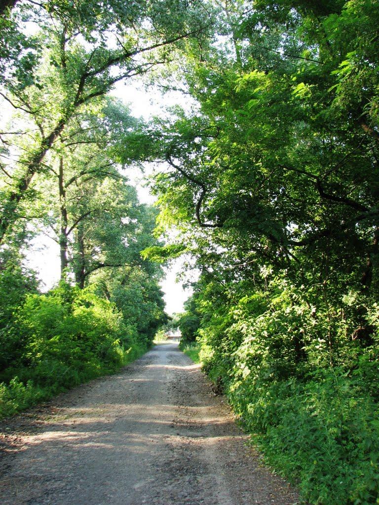 Центральне з panoramio.com - Центральне