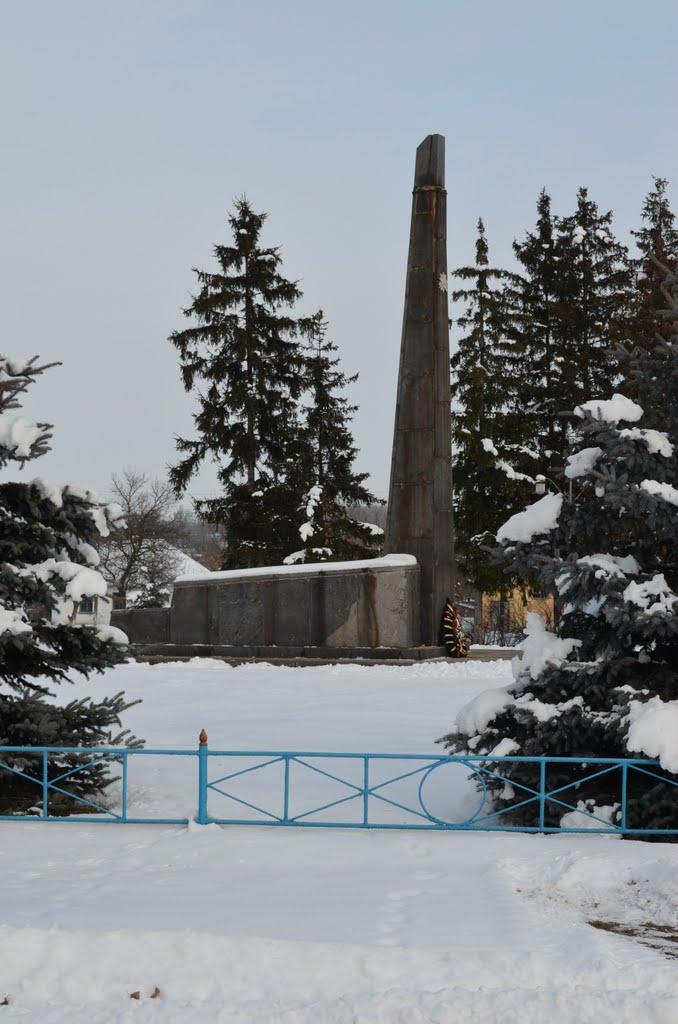 Рижавка з panoramio.com - Рыжавка