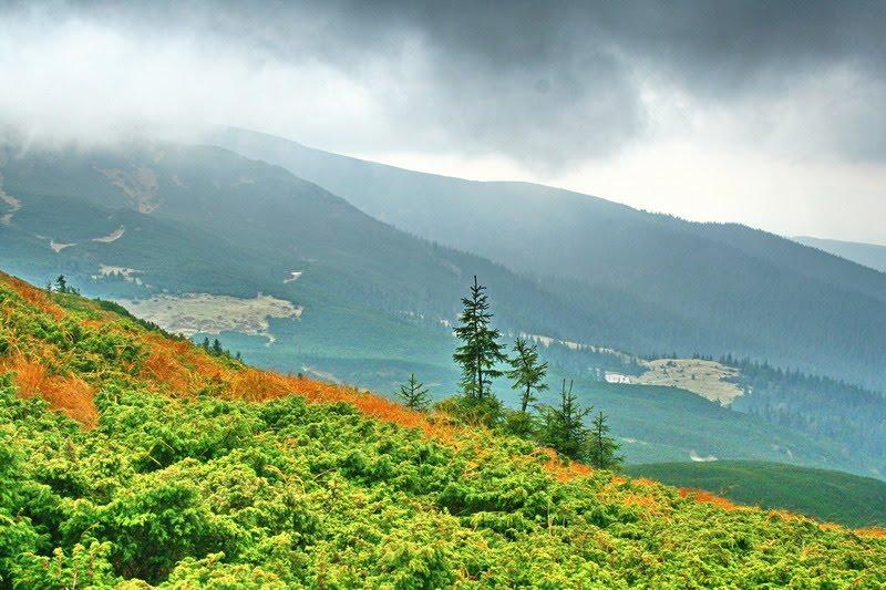 Говерла з panoramio.com (ч.2) - Говерла