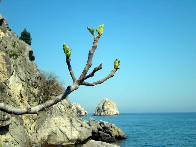 Гурзуф з panoramio.com (ч.3) - Gurzuf