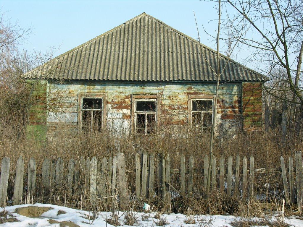 Олександрія з panoramio.com - Александрия