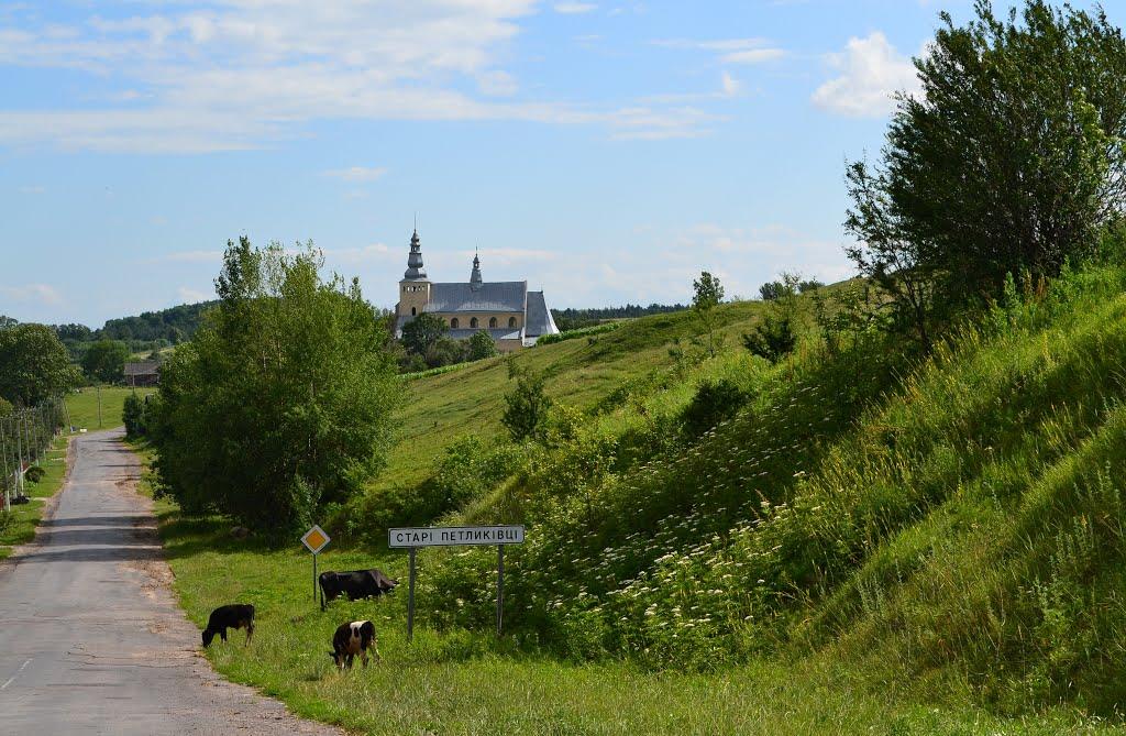 Старі Петликівці з panoramio.com - Старі Петликівці