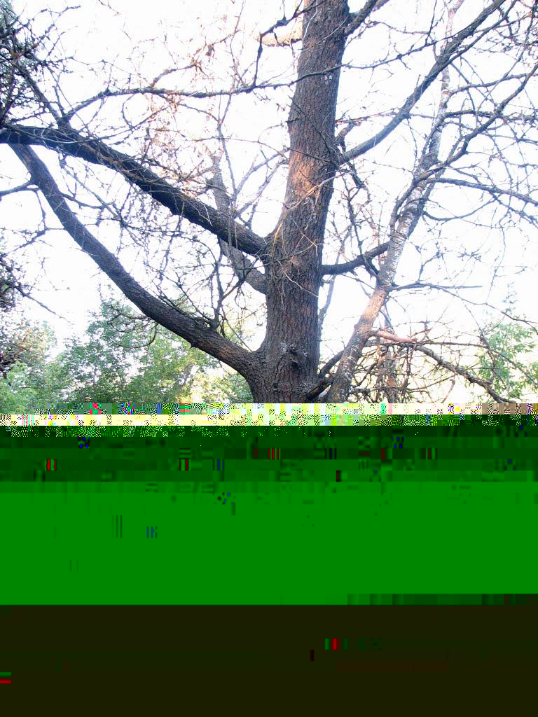 Левківка з panoramio.com - Левківка