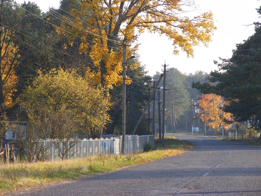 Красний Бір з panoramio.com - Красний Бір