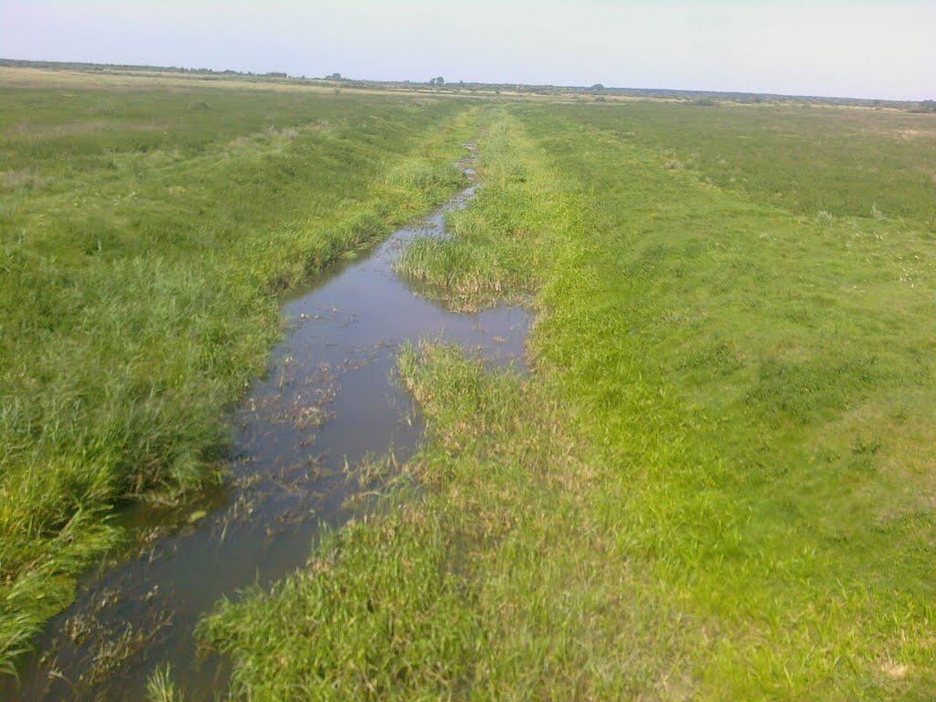 Ревушки з panoramio.com - Ревушки