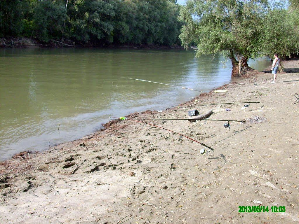 Дунайське з panoramio.com (ч.2) - Дунайское