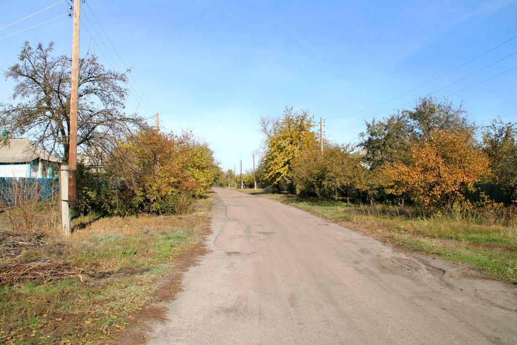 Новоселівка з panoramio.com - Новоселівка