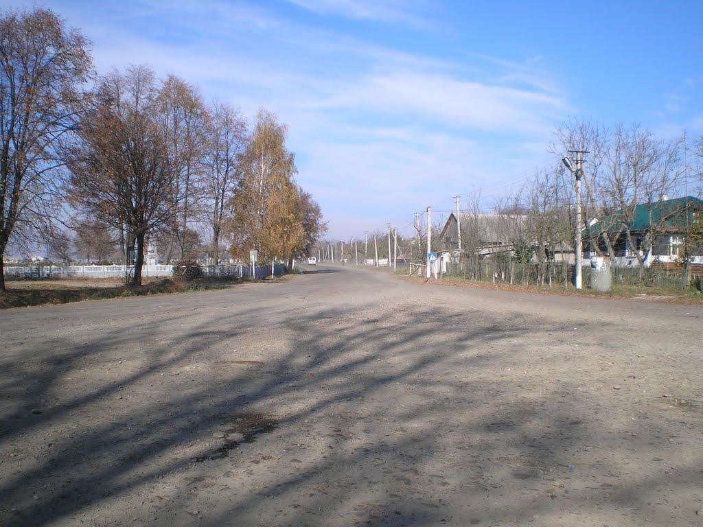 Довгий Войнилів з panoramio.com - Довгий Войнилів