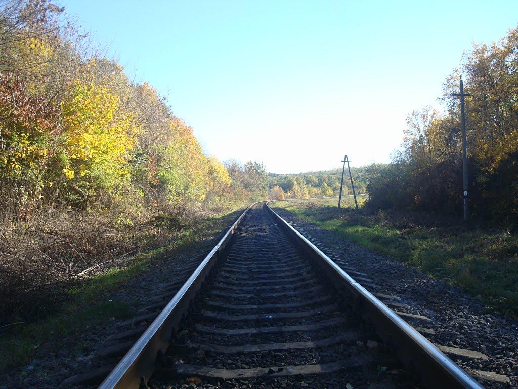 Щиборівка з panoramio.com - Щиборівка