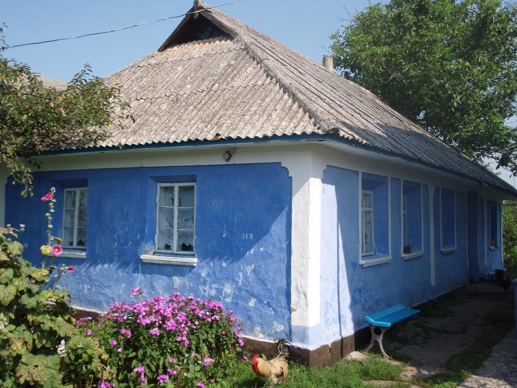 Лісоводи з panoramio.com - Лісоводи