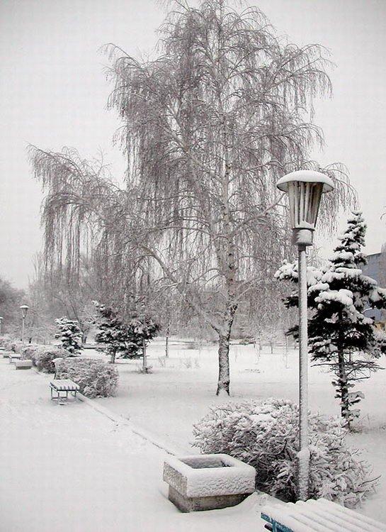 Сєверодонецьк з panoramio.com (ч.3) - Северодонецк