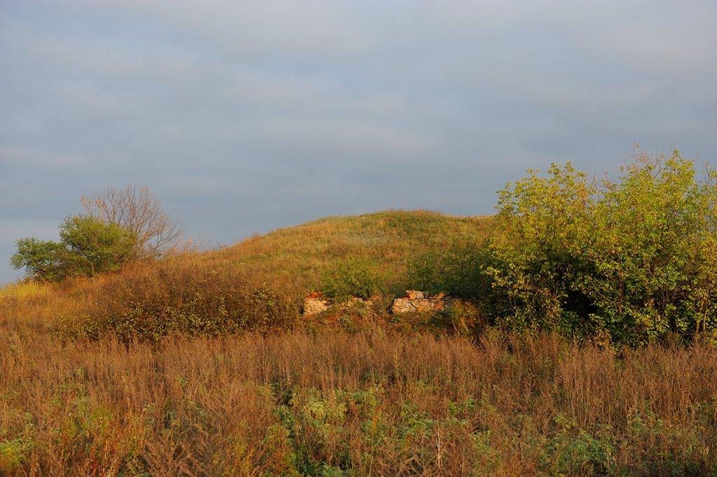 Миколаївка з panoramio.com - Николаевка