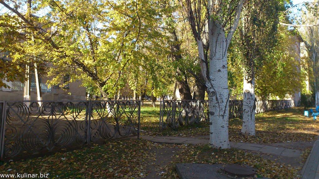 Токмак з panoramio.com - Токмак