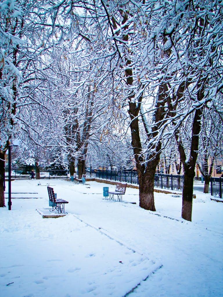 Лисичанськ з panoramio.com (ч.3) - Лисичанск