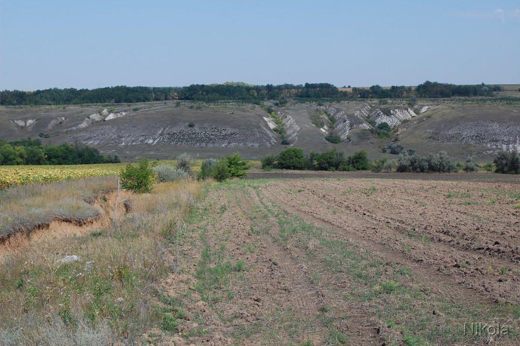 Співаківка з panoramio.com - Співаківка