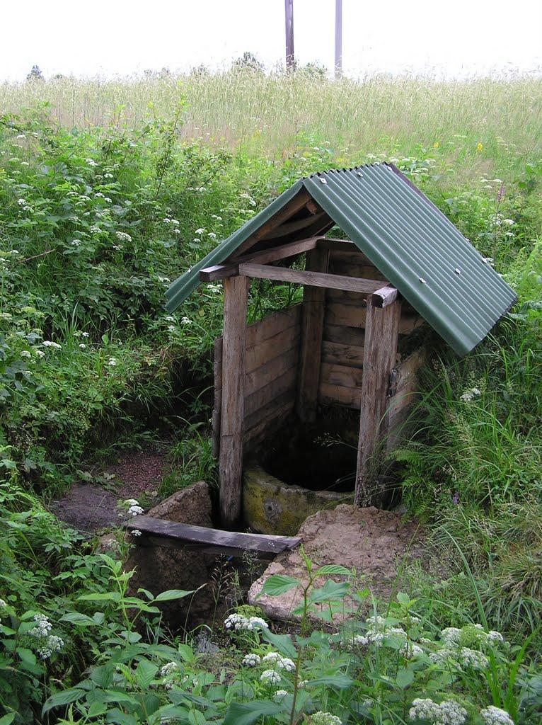 Горщик з panoramio.com - Горщик