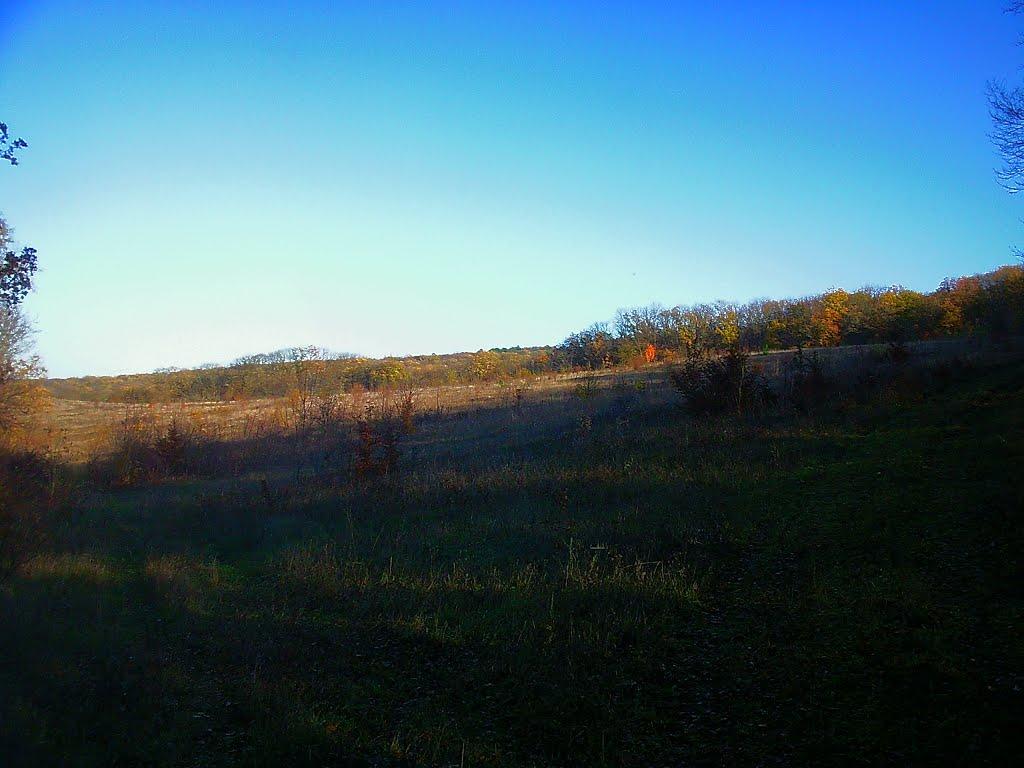 Верхоріччя з panoramio.com - Верхоріччя