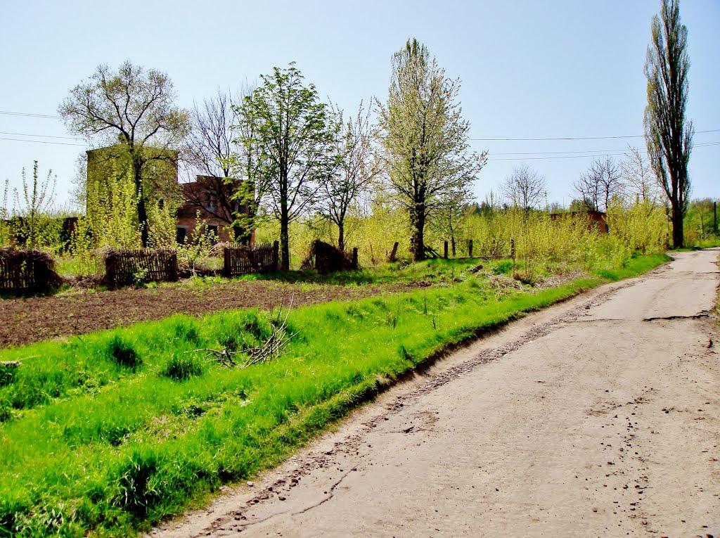 Гудзівка з panoramio.com - Гудзівка