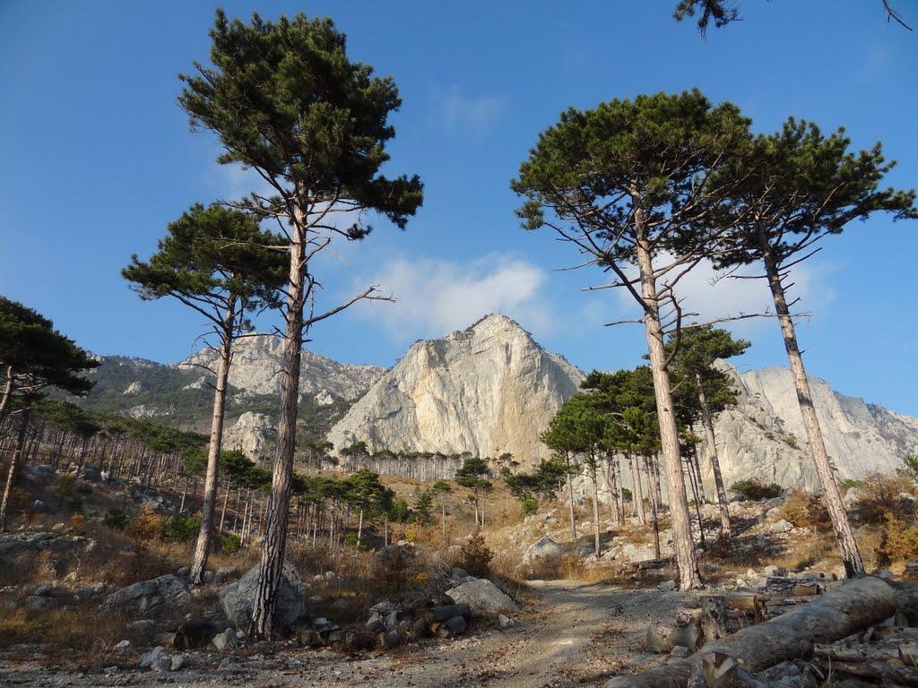 Алупка з panoramio.com (ч.3) - Alupka