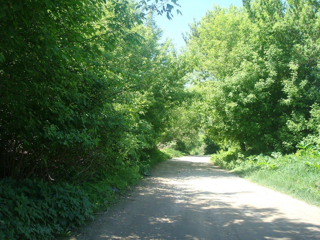 Хмельницький з panoramio.com (ч.13) - Хмельницкий