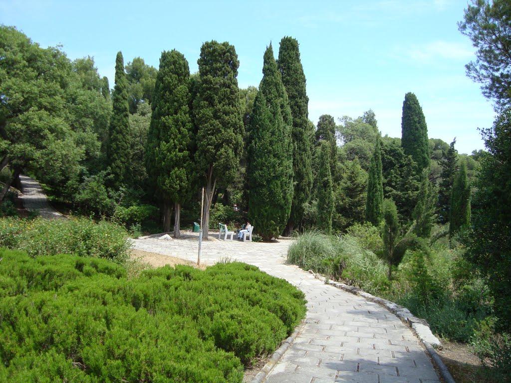 Кореїз з panoramio.com (ч.2) - Кореїз