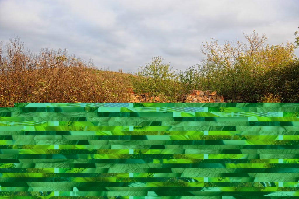 Миколаївка з panoramio.com - Николаевка