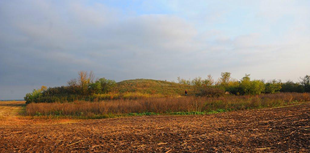 Миколаївка з panoramio.com - Николаевка