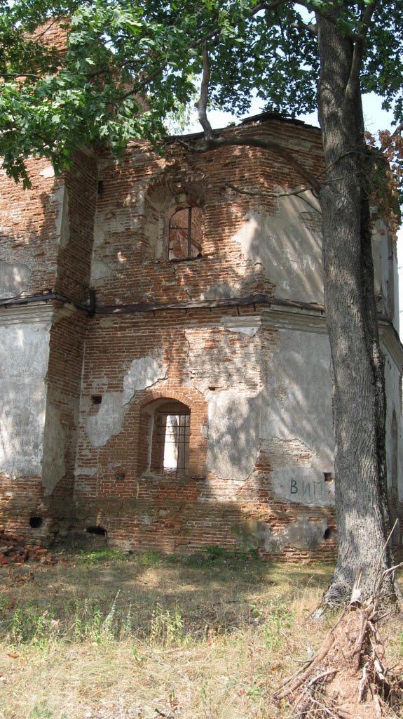 Великий Листвен з panoramio.com - Великий Листвен